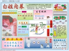白小姐内幕A